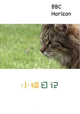 地平线系列：小猫日记封面图