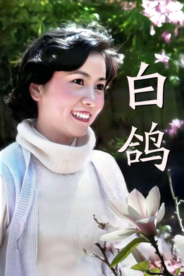 白鸽}
