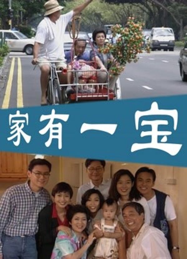 家有一宝
