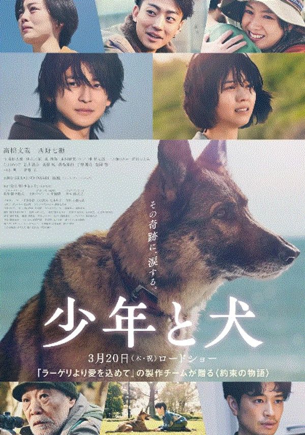 少年与犬}